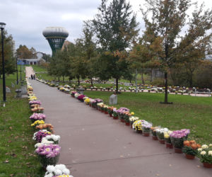 Dwa tysiące chryzantem ozdobiło park w Tarnowie