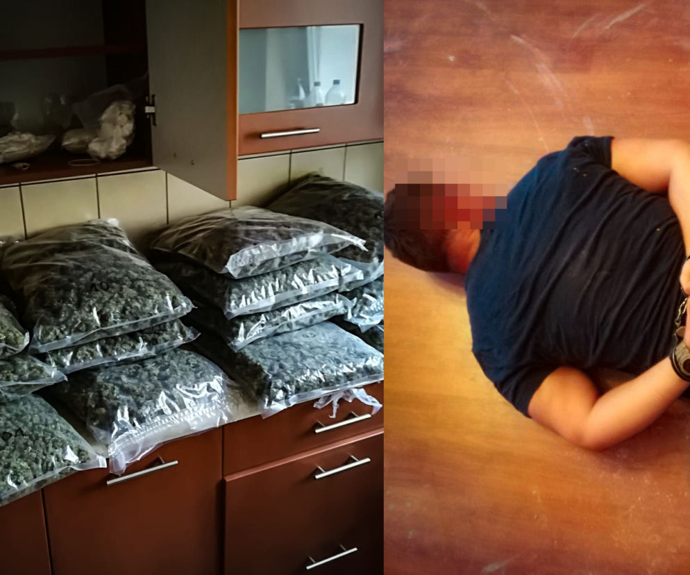 Pomorskie: MAGAZYNY NARKOTYKÓW i towar wart MILIONY! Bracia w rękach policji