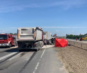 Tragedia w Niewieścinie. Czterech mężczyzn nie żyje. Zdjęcia z miejsca wypadku