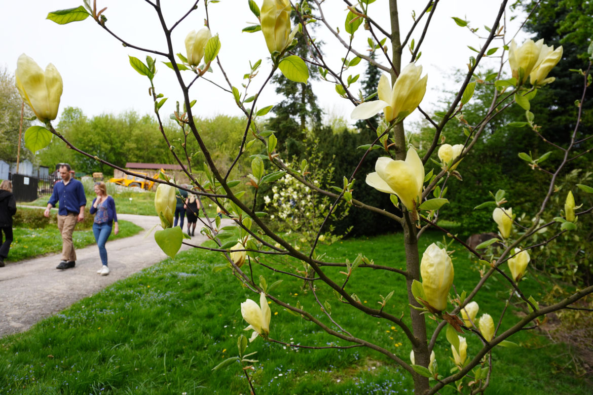 Ogród Botaniczny w Lublinie