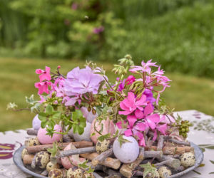 Pelargonie w wielkanocnych dekoracjach