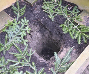 Magda Umer - pogrzeb