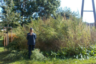 Warszawa: Urządził plantację konopi na miejskiej działce. Co było potem? [GALERIA]