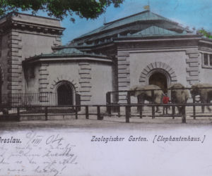 Zoo we Wrocławiu ma już 155 lat