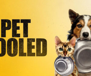 Kwiecień 2017 premiery w Netflix