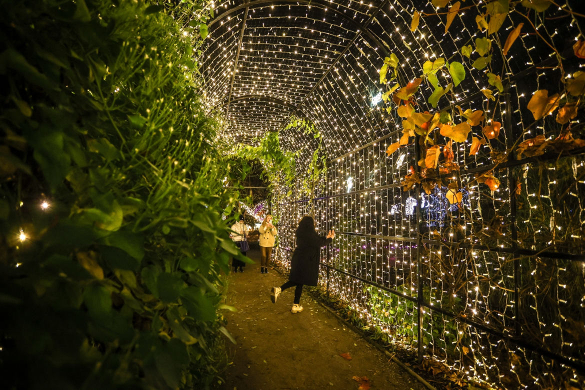 Ogród Botaniczny UW w blasku miliona świateł!