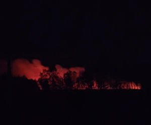 Samolot rozbił się nad płonącym lasem! Tragedia na Lubelszczyźnie 