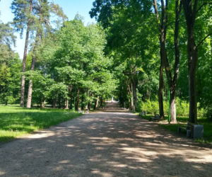 3. Park Konstytucji 3 Maja