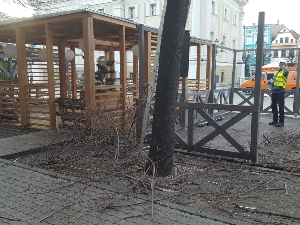Drzewa na Rynku w Lesznie pod fachową opieką