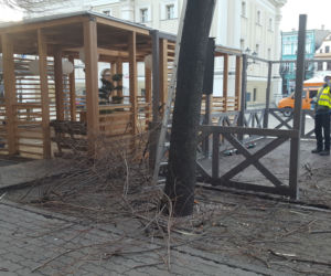 Drzewa na Rynku w Lesznie pod fachową opieką