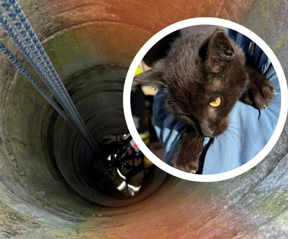 Strażacy uratowali kota, który wpadł do studni