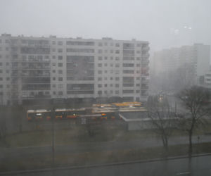 Śnieżyca
