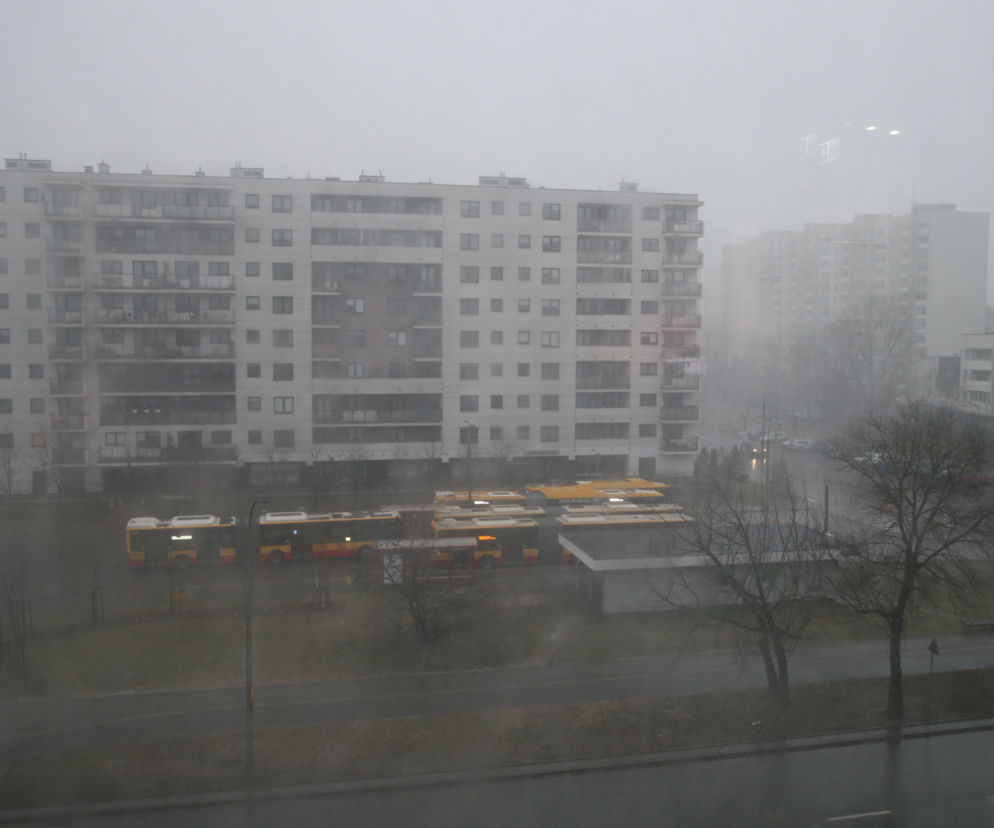 Śnieżyca