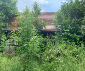 Dom w Pławnej Dolnej - stan przed remontem i archiwalia