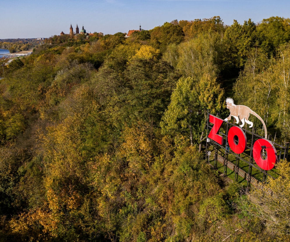Wjeżdżały do Płocka przez 25 lat i zawsze tam był. Co się stało z hollywoodzkim symbolem miasta? [ZDJĘCIA]