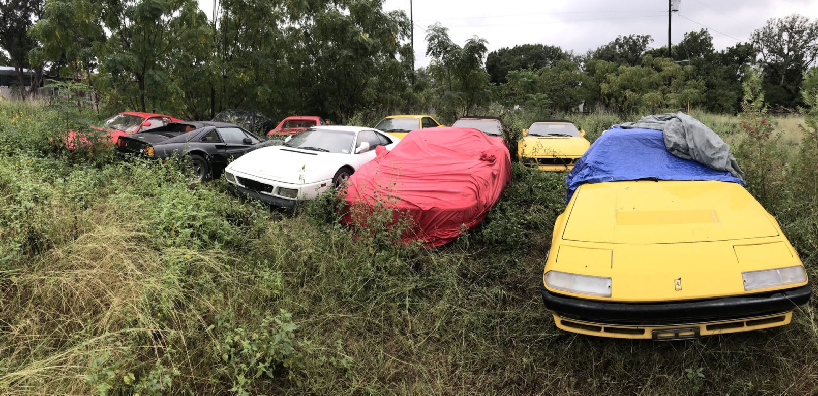 11 klasycznych Ferrari porzuconych w polu