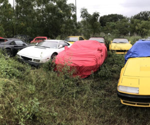 11 klasycznych Ferrari porzuconych w polu