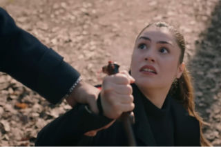 Wichrowe wzgórze odc. 366