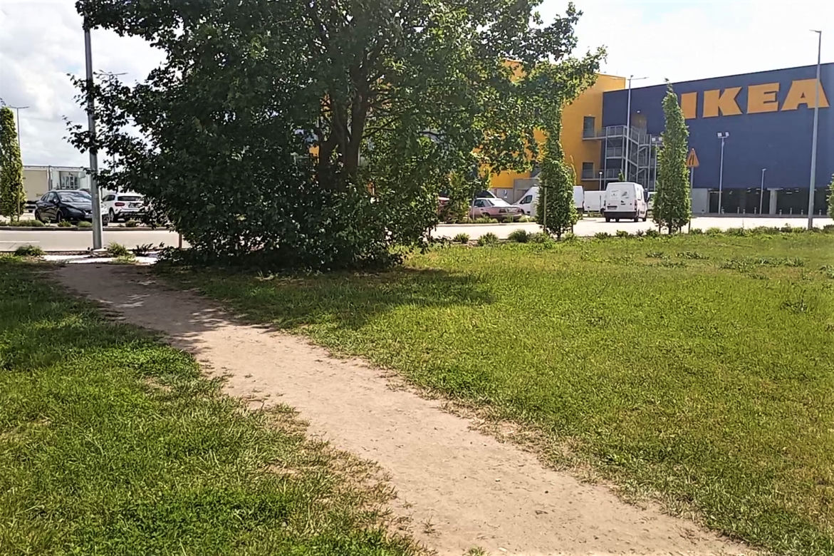Do sklepu przez trawnik i po pasach prosto... w skarpę! "Wyboista" droga do sklepu IKEA w Szczecinie