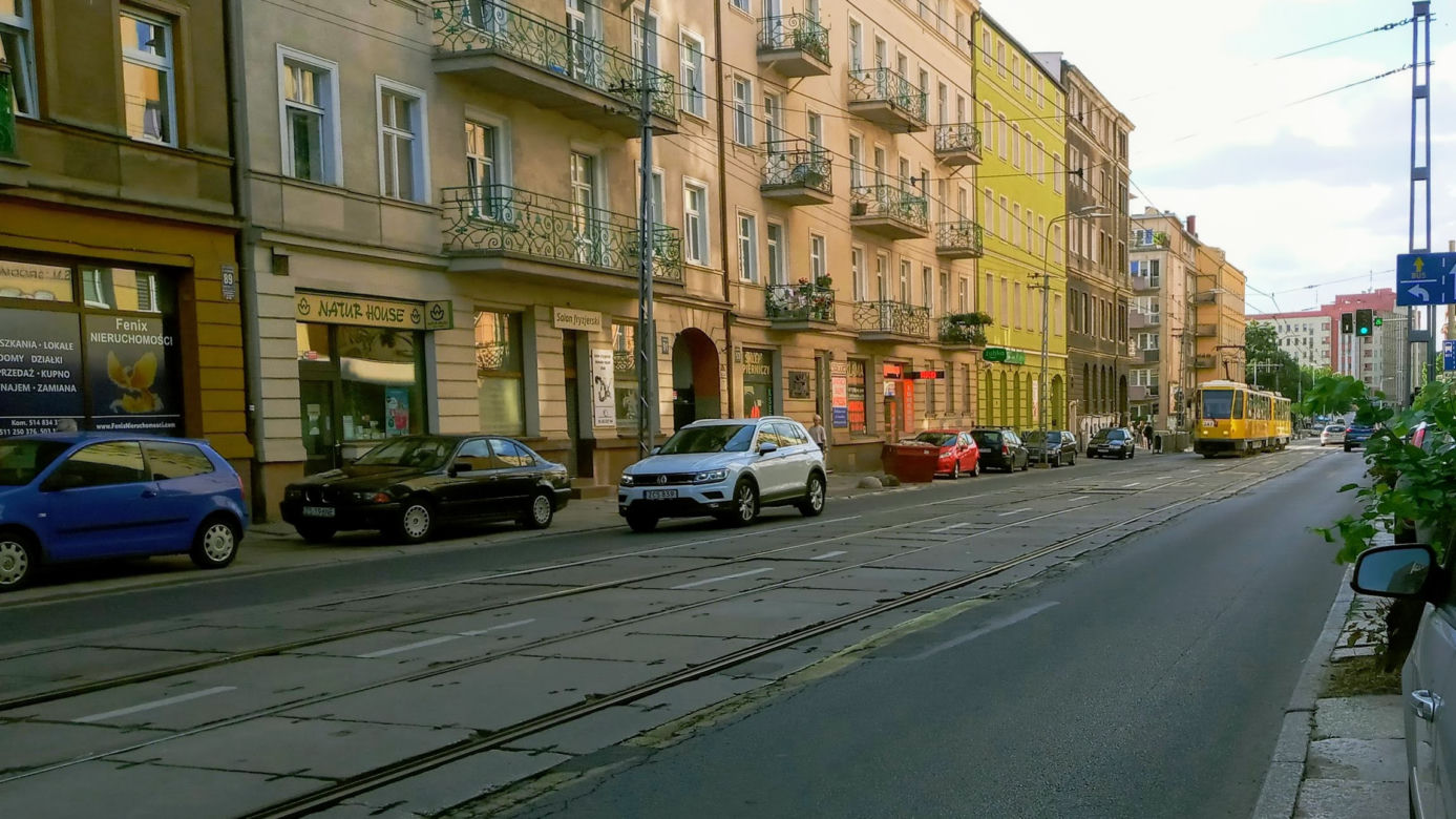 Wycięte drzewa w centrum Szczecina nagle odżyły