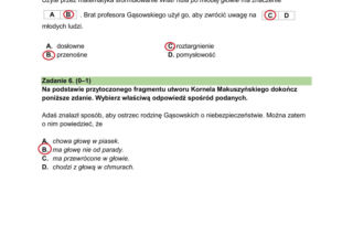 Próbny egzamin ósmoklasisty 2025: polski. Wszystkie odpowiedzi, zadania, arkusze CKE [12.01.2026]