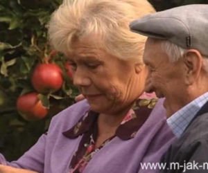 M jak MIŁOŚĆ odc. 974. Lucjan Mostowiak (Witold Pyrkosz), Barbara (Teresa Lipowska)