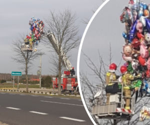 Ratowali... baloniki! Niecodzienna akcja strażaków spod Sławna