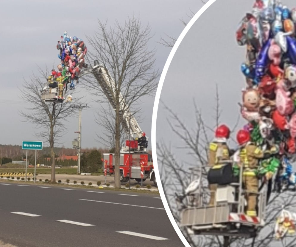 Ratowali... baloniki! Niecodzienna akcja strażaków spod Sławna