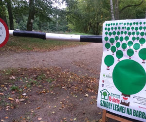 Toruń ustanowił rekord... w przytulaniu drzew! 