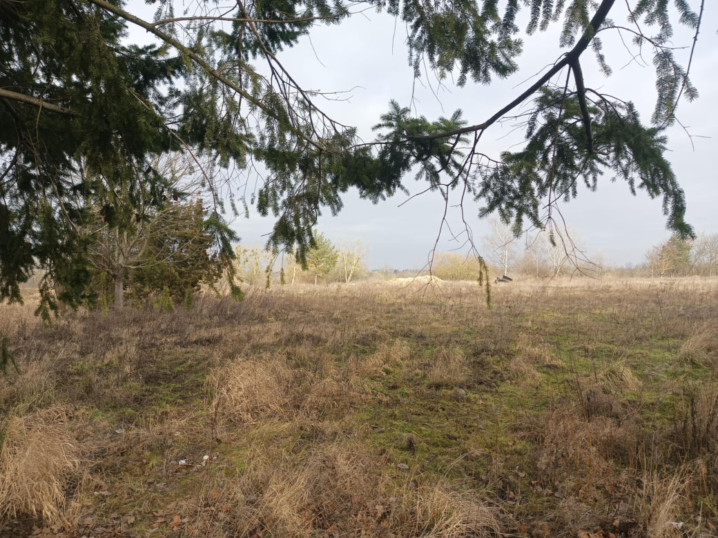 Teren byłej mleczarni obecnie