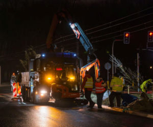 Nowe drzewa na ul. Marszałkowskiej w Warszawie