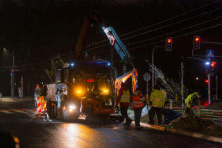 Nowe drzewa na ul. Marszałkowskiej w Warszawie