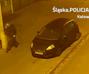 Katowice: Włamali się do sklepu budowlanego, łupy zapakowali do bagażnika. Rozpoznajesz ich? [ZDJĘCIA]