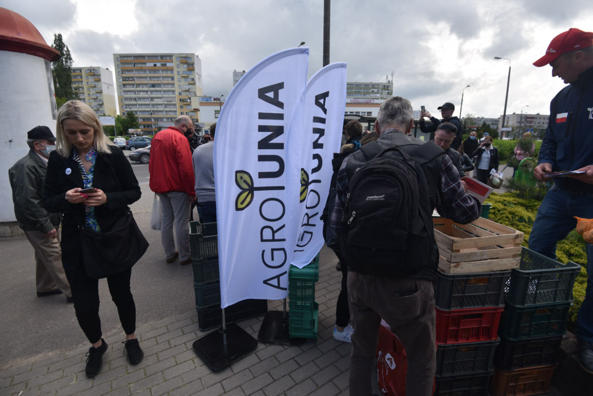 Nietypowy protest Agrounii. Rolnicy rozdawali ziemniaki w Toruniu
