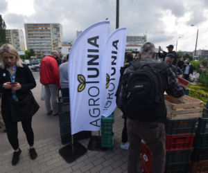 Nietypowy protest Agrounii. Rolnicy rozdawali ziemniaki w Toruniu