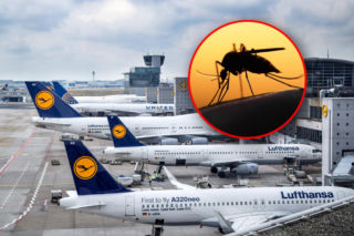 Malaria na największym lotnisku w kraju. Komarzyca przemyciła groźną chorobę w samolocie? 