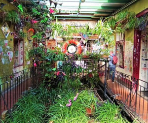Simpla Kert w Budapeszcie