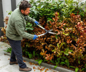Wiosenne porządki w ogrodzie