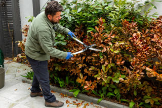 Wiosenne porządki w ogrodzie