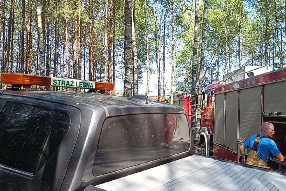 Spłonęło 3,5 ha lasu pod Świeciem. Tak bawili się trzej chłopcy. Najstarszy ma 10, najmłodszy 8 lat