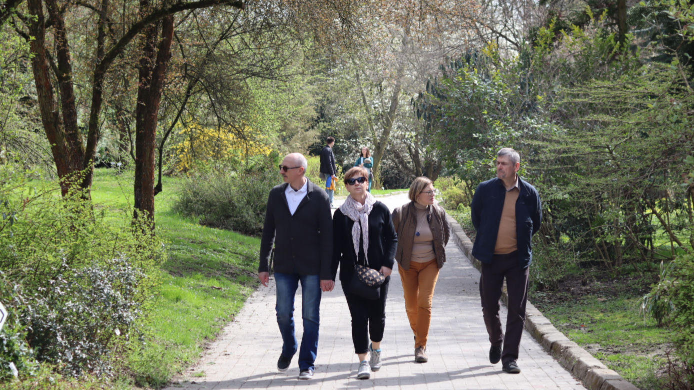 Ogród Botaniczny w Lublinie otwarty! Wszędzie widać wiosnę