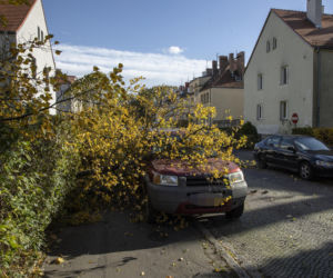 Wichury łamią drzewa, gałęzie spadają na samochody