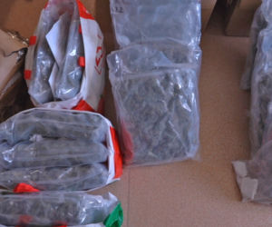 30 kilogramów narkotyków i trzech pseudokibiców w kajdankach. Spektakularna akcja policji