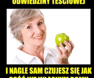 Dzień Teściowej 2021: MEMY. Najlepsze, śmieszne żarty i obrazki o teściowych [ZDJĘCIA]