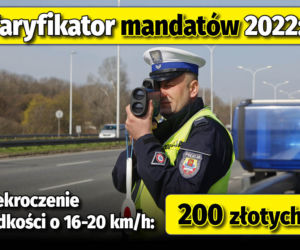 Taryfikator mandatów 2022 