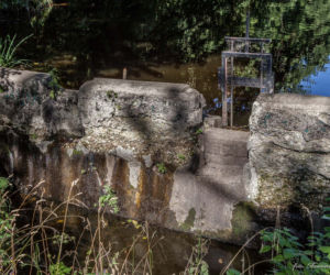 Giżycko. Zbiorniki wodne w uroczysku „Las Miejski” przejdą modernizację
