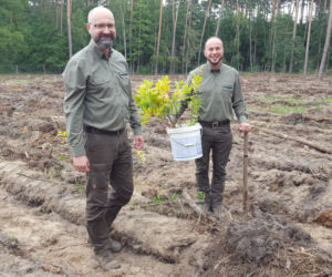 Każdy mógł dziś posadzić kawałek lasu