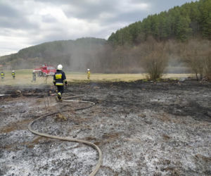 Maszkowice. MAKABRYCZNE skutki wypalania traw. Zwierzak zginął w strasznych męczarniach