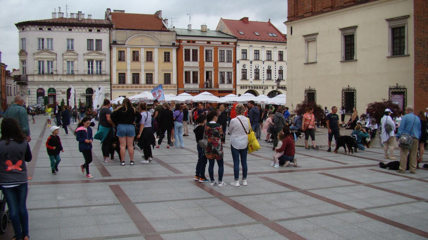 Tarnów w Tricolorze - Zjazd Berneńczyków