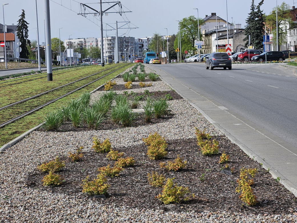 Chwalą się zielenią w centrum Torunia i pokazują zdjęcia. Tak wyglądają torowiska i nie tylko